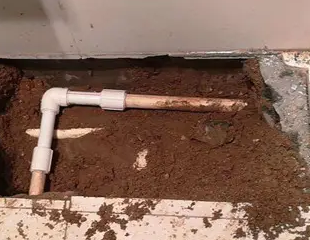 荆门市测漏水哪家好