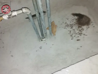 荆门市卫生间测漏水价格明细