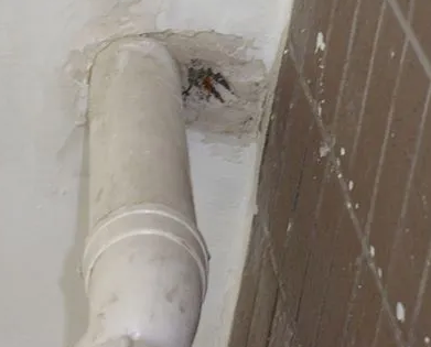 荆门市漏水检测哪家好